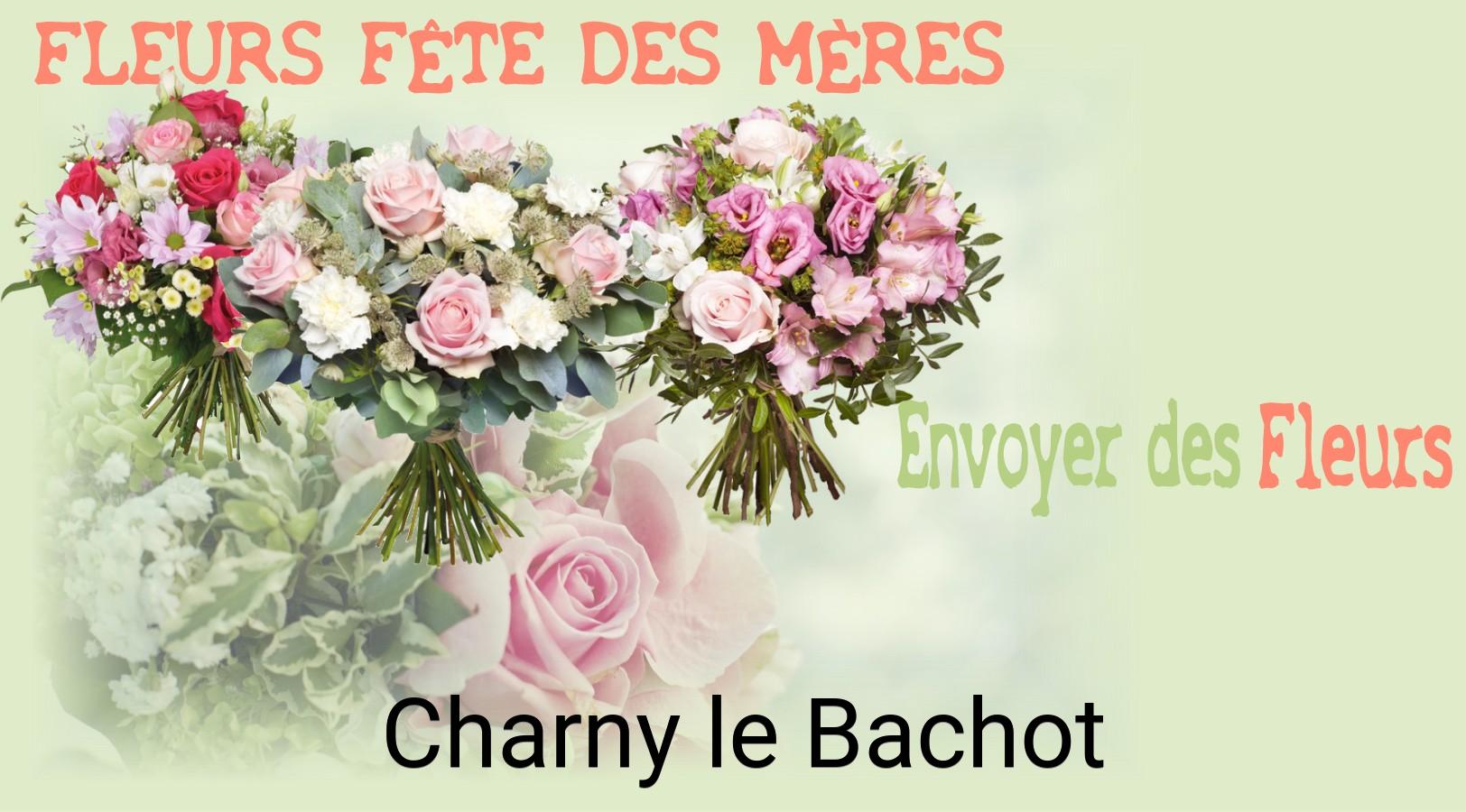 Bouquet de Fête des Mères livré à Charny-le-Bachot
